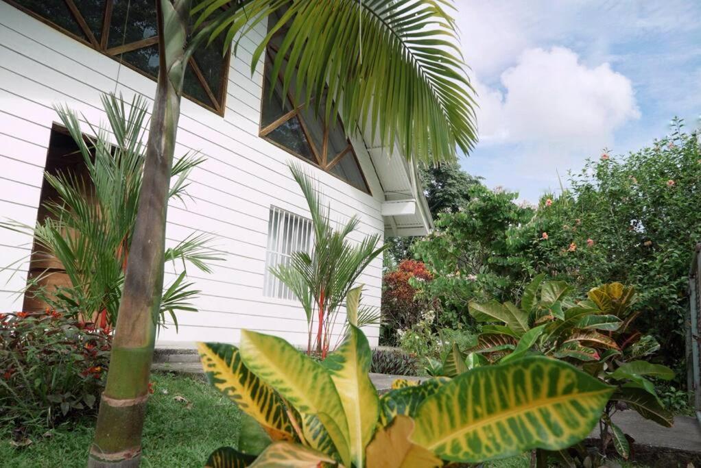 Casa Moes Villa Cahuita Exterior foto